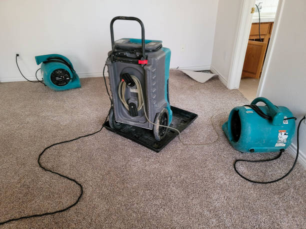 Best Flood restoration services  in Pickens, MS