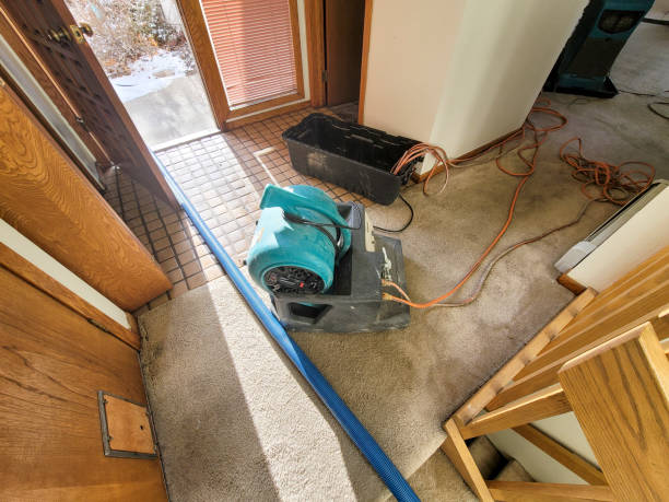 Best Sewage cleanup and water damage restoration  in Pickens, MS