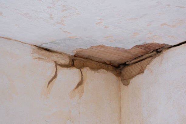 Sewage cleanup and water damage restoration in Pickens, MS