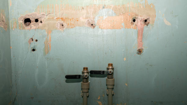 Water damage restoration experts in Pickens, MS