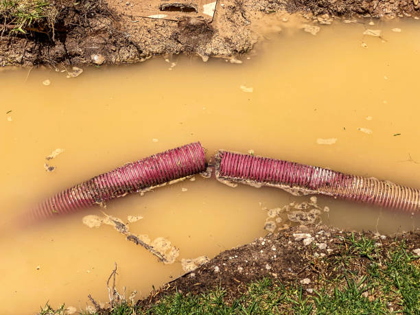 Best Water damage repair service  in Pickens, MS
