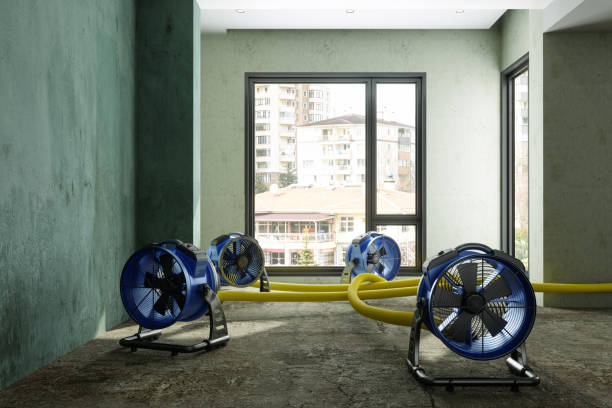 Best Sewage cleanup and water damage restoration  in Pickens, MS