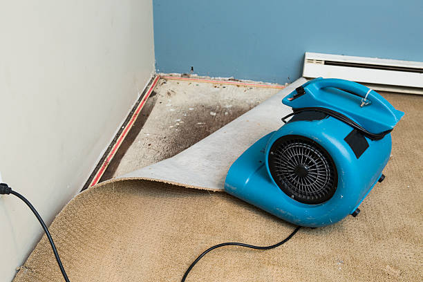 Best Water damage contractors near me  in Pickens, MS